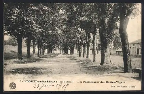 AK Nogent-en-Bassigny /Haute-Marne, Les Promenades des Hautes-Vignes