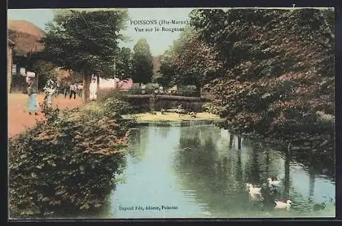 AK Poissons /Hte-Marne, Vue sur le Rongeant