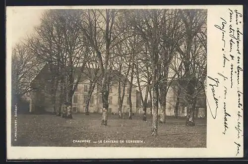 AK Chaumont, Le Château de Corgebin et son parc arboré