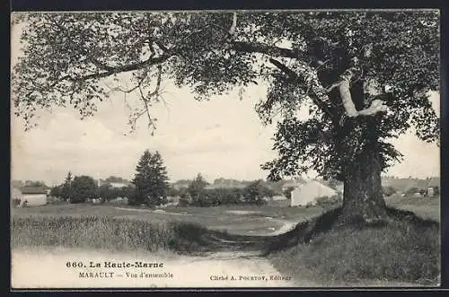 AK Marault /Haute-Marne, Vue d`ensemble avec grand arbre et paysage champêtre