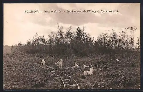 AK Eclaron, Travaux du Der, Emplacement de l`Étang de Champaubert