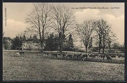 AK Châteauvillain /Hte-Marne, Les Dains dans le parc