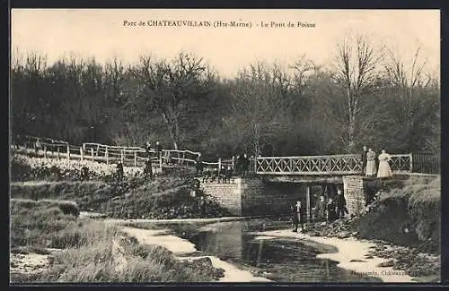 AK Chateauvillain /Hte-Marne, Le Pont de Poisse dans le parc