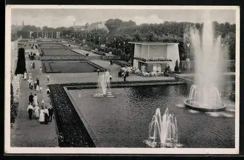 AK Essen, Ausstellung GRUGA, Farbenterrasen mit Leuchtfontäne im Gruga-Park