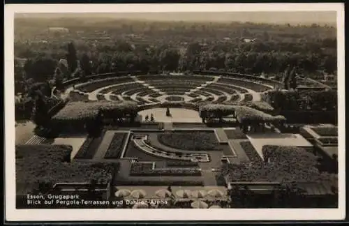 AK Essen, Grugapark, Blick auf Pergola-Terrassen und Dahlien-Arena, Gruga-Ausstellung