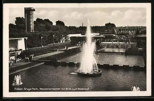 AK Essen, Gruga-Park, Wasserterrassen mit Blick zum Rosenhof