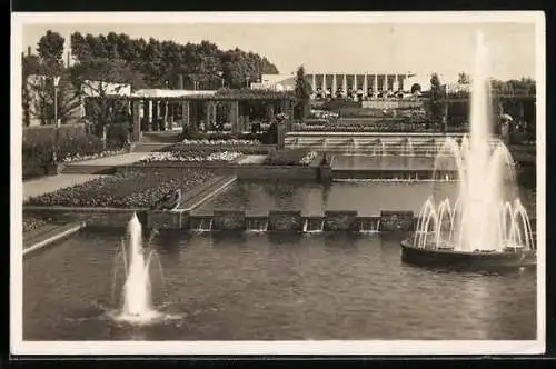 AK Essen, Gruga-Park, Wasserterrassen mit Leuchtfontäne