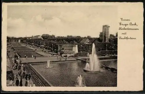 AK Essen, Gruga-Park, Farbenterrassen mit Leuchtfontaine