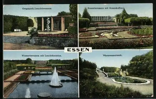 AK Essen, Grugapark, Rosenterrassen mit Rosencafe, Warmwasserwerk, Leuchtbrunnen