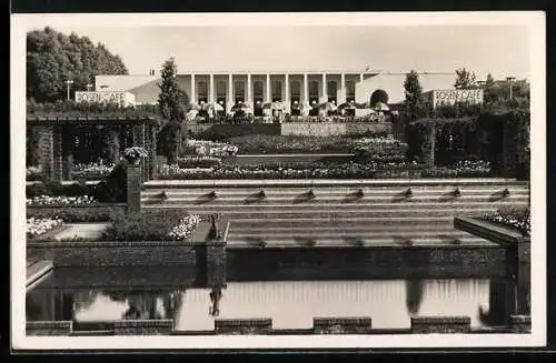 AK Essen, Grugapark, Wasser- und Rosenterrassen