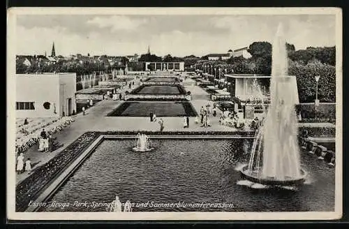 AK Essen, Gruga-Park, Springbrunnen und Sommerblumenterrassen