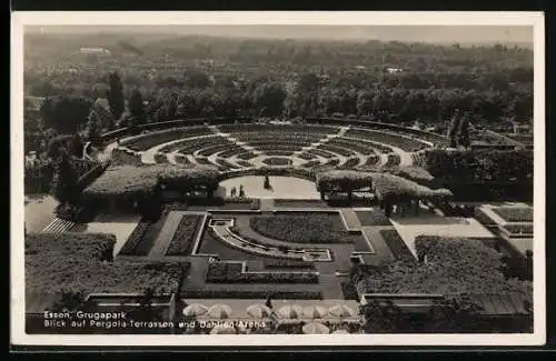 AK Essen, Grugapark, Blick auf Pergola-Terrassen und Dahlien-Arena, Gruga-Ausstellung