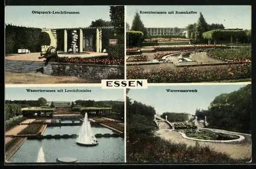 AK Essen, Grugapark-Leuchtbrunnen, Warmwasserwerk und Rosencafé