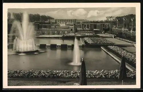 AK Essen, Grosse Ruhrländische Gartenbau-Ausstellung Gruga 1929, Wasserterrassen und Rosenanlage