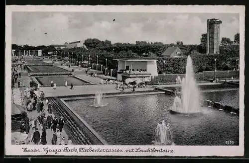 AK Essen, Gruga-Park, Farbenterrassen mit Leuchtfontäne