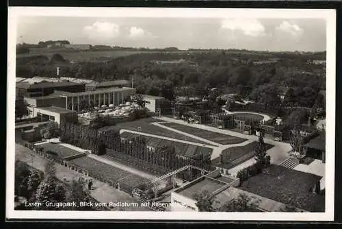 AK Essen, Grugapark, Blick auf Rosenterrassen