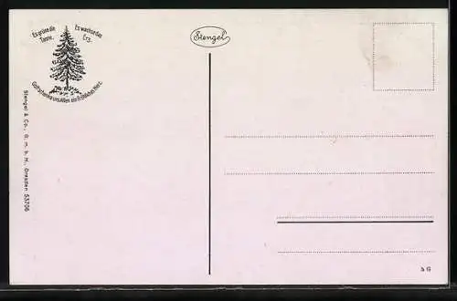 AK Brocken, Brockenbahn fährt den Berg hinauf