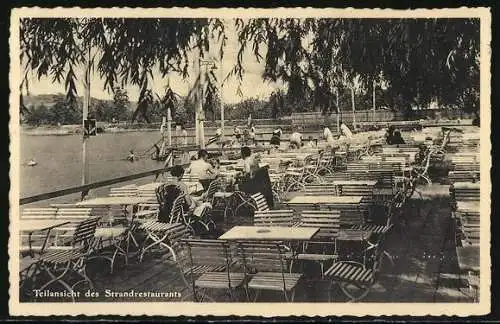 AK Seeburg / Eisleben, Gasthaus Seebad Seeburg am Süssen See, Terrasse des Strandrestaurants