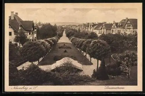AK Naumburg / Saale, Blick in die Louisenstrasse