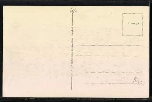 AK Mansfeld, Schloss