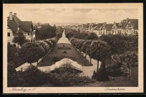 AK Naumburg / Saale, Blick in die Louisenstrasse