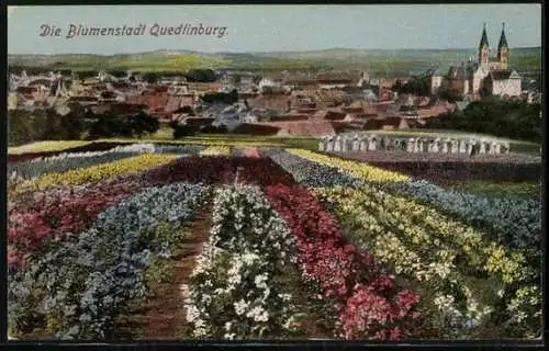 AK Quedlinburg, Blumenfeld mit Blick zum Ort