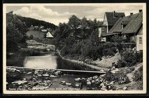 AK Tanne, Partie an der warmen Bode mit Jägerborn