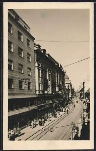 AK Zagreb, Plica