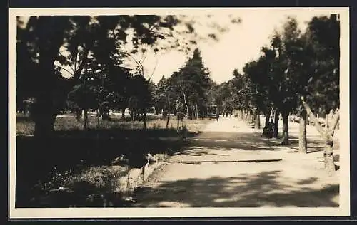 AK Concepcion, Parque Ecuador