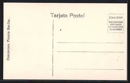 AK Concepcion, Puente Bio-Bio