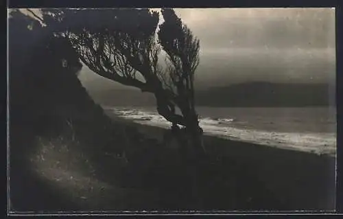 AK Niebla, La Playa