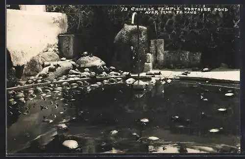 AK Penang, Chinese Temple Tortoise Pond