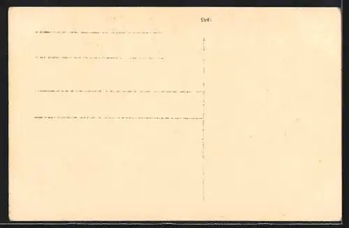 AK Reichenau-Niederzell, Uferpartie mit Kirche