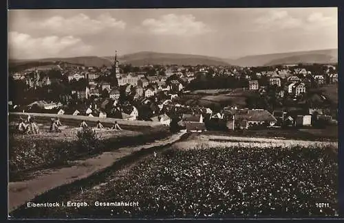 AK Eibenstock i. Erzgeb., Gesamtansicht mit Garben