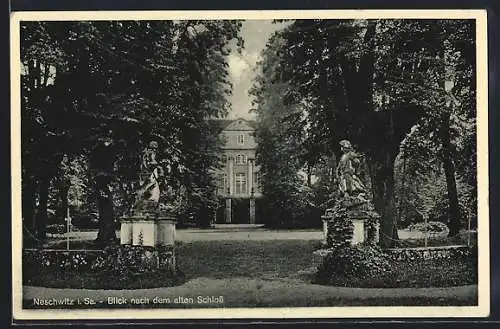 AK Neschwitz i. Sa., Blick nach dem alten Schloss