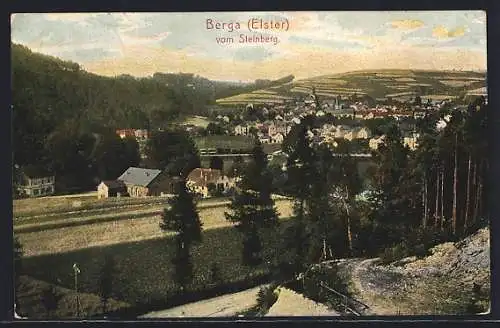 AK Berga /Elster, Teilansicht vom Steinberg aus