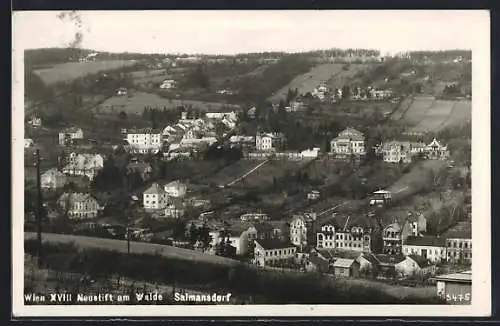 AK Wien, Neustift am Walde, Salmansdorf aus der Vogelschau