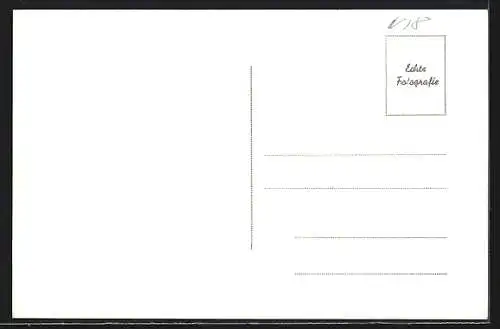 AK Windigsteig /N.-Oe., Meires, Ortsansicht mit Kirche