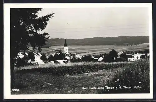AK Thaya a. d. Thaya, Ortsansicht mit Feldern und Blick auf die Kirche