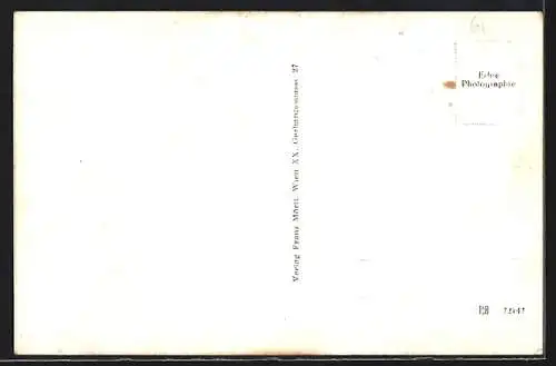 AK Vitis /N. Ö., Ortsansicht mit Wald