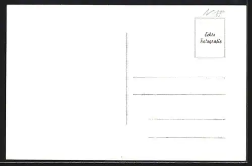 AK Windigsteig /N.-Oe., Maires, Ortsansicht mit Kirche