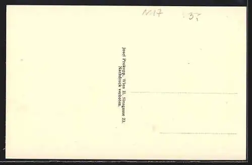 AK Zeiselmauer, Panorama mit Kirchturm