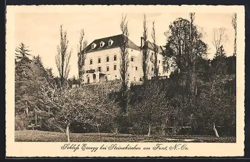 AK Steinakirchen am Forst, Das Schloss Ernegg