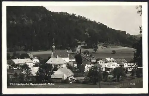 AK Raisenmarkt /N. Oe., Ortsansicht mit Berglandschaft