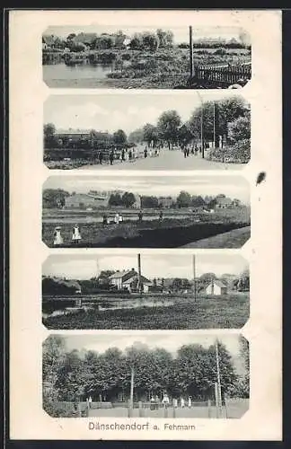 AK Dänschendorf /Fehmarn, Anwesen, Strassenpartie, Ortspartien