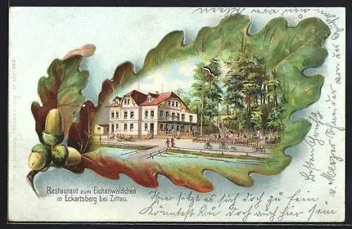 Passepartout-Lithographie Eckartsberg / Zittau, Restaurant zum Eichenwäldchen, Ansicht auf Eichenblatt