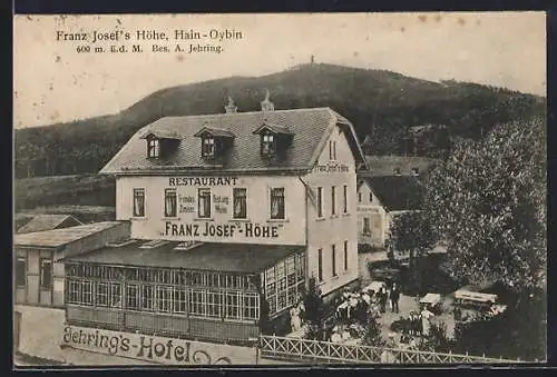 AK Hain-Oybin, Hotel Franz Josef's Höhe