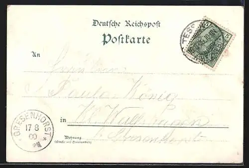 Lithographie Tessin i. M., Amtsgericht, Postamt und St. Johannis-Kirche