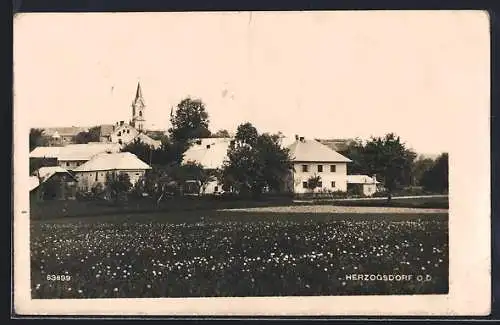 AK Herzogsdorf /O. D., Ortspanorama von einer Wiese aus