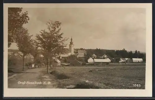 AK Schwarzenau /N.-D., Gross-Haselbach von der Landstrasse aus